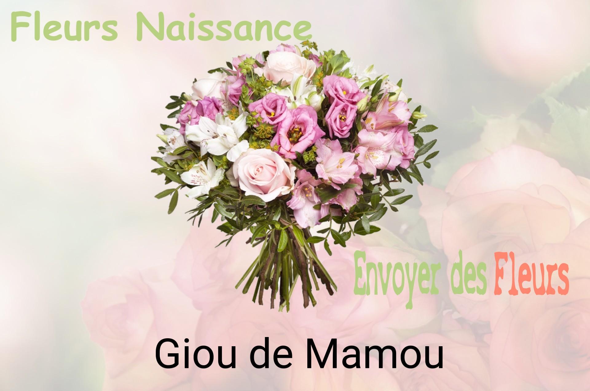 Bouquet de fleurs de naissance livré à Giou-de-Mamou